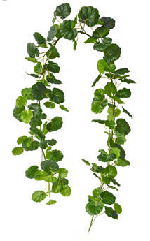 Trailing Vines - Geranium Garland